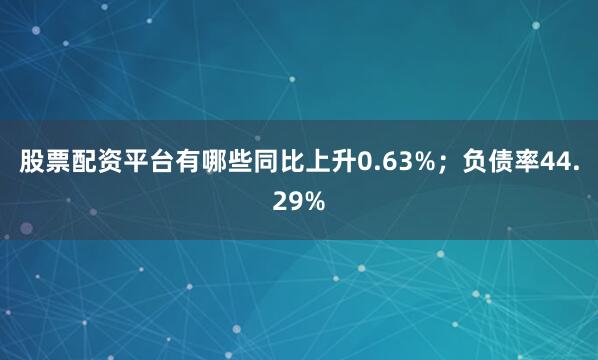 股票配资平台有哪些同比上升0.63%；负债率44.29%