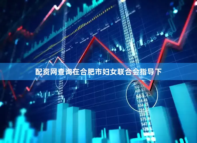 配资网查询在合肥市妇女联合会指导下