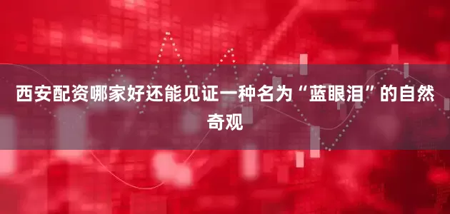西安配资哪家好还能见证一种名为“蓝眼泪”的自然奇观