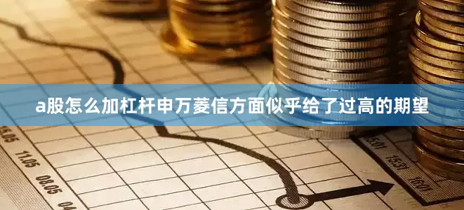 a股怎么加杠杆申万菱信方面似乎给了过高的期望